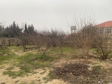 Novxani Torpaq alqi satqisi 4 sot, -3
