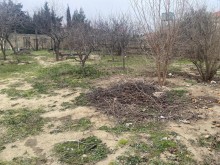 Novxani Torpaq alqi satqisi 4 sot, -5