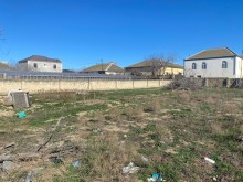 Novxanının ən gözəl yerlərindən birində Torpaq, -2