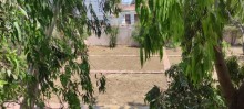 hovsan turkan yolu Deniz cimerlik baglari, -5