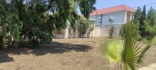 hovsan turkan yolu Deniz cimerlik baglari, -8