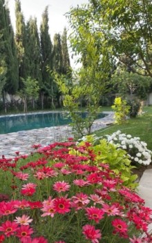 Bineqedi Novxani yolu Mehdiabad qesebesinde villa ev satilir, -2