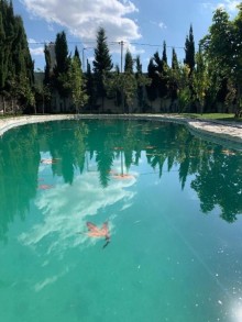 Bineqedi Novxani yolu Mehdiabad qesebesinde villa ev satilir, -20