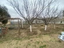 satilir-torpaq-baki-abseron-novxani-155-1708196788-s