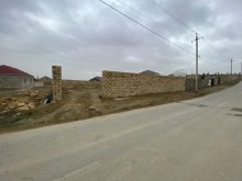 Novxani Torpaq baglar massivi, -2