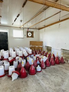 Azərbaycan, kommersiya təyinatlı daşınmaz əmlak satılır zeytun bagi, -8