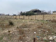 Novxanida ucuz torpaq saheleri satisi, -2