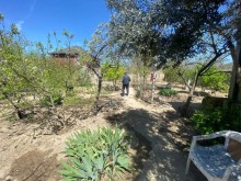 Satılır Həyət evi, -8