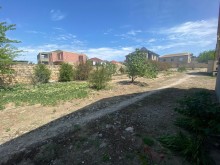 Novxanida 24 mine torpaq, -10