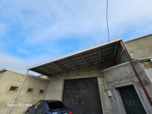 Hundur ambar satilir Novxani, -2