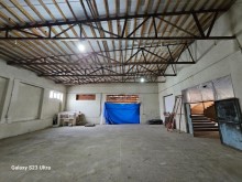 Hundur ambar satilir Novxani, -4