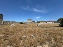 Buzovna-Zaqulba yolunda Torpaq, -5