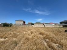 Buzovna-Zaqulba yolunda Torpaq, -6