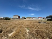 Buzovna-Zaqulba yolunda Torpaq, -9