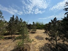 Shuvalan Villas Yasayis Kompleksi ile uzbeuz Torpaq, -3