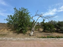Shuvalan Villas Yasayis Kompleksi ile uzbeuz Torpaq, -11