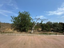 Shuvalan Villas Yasayis Kompleksi ile uzbeuz Torpaq, -12