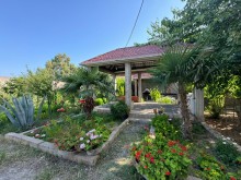 mardakan Makaronnuda 24cu dalanda Torpaq, -3