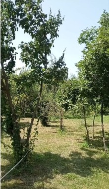 Satılır Torpaq və Ev Qax şəhəri, Qaşqaçay kəndi Sərin Bulaq istirahət mərkəzi, -8