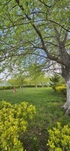 Nardardanda Satılır Həyət evi, -4