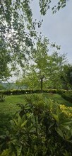 Nardardanda Satılır Həyət evi, -5