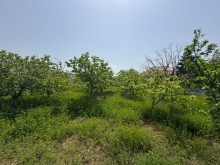 Satılır Torpaq suvelan, -8
