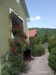 Kirayə (Günlük) ev İsmayıllı rayonu Qalacıq kəndi, -7