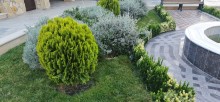 Sale Villa in Baku vity MArdakan, -6