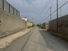 Kirayə (Aylıq) Torpaq merdekan, -8