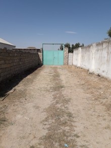Bilgəh qəsəbəsi. Zəfəran savxozu Satılır Torpaq, -2