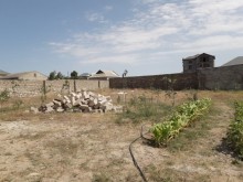 Bilgəh qəsəbəsi. Zəfəran savxozu Satılır Torpaq, -8