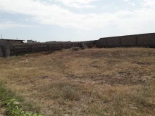 Bilgəh qəsəbəsi. Zəfəran savxozu Satılır Torpaq, -9