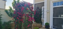 Kirayə (Aylıq) Villa Xəzər.r, Mərdəkan, -15