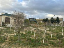 Sale Land mardakan, -6