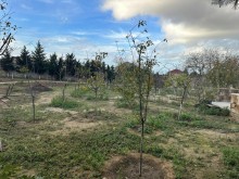 Sale Land mardakan, -9