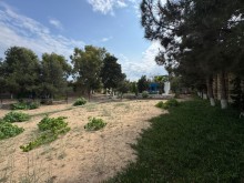 Satılır Torpaq merdekan, -5