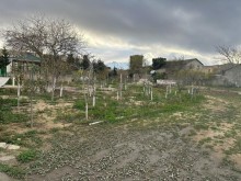 Qaraçuxurda torpaq satılır, -2