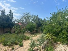 Cottage for Sale Near the Sea in Pirshagi, -11