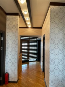 Bakıda dəniz kənarında villa, -15