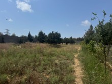 Sale Land sagan, -3