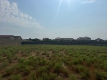 Sale Land shagan, -2