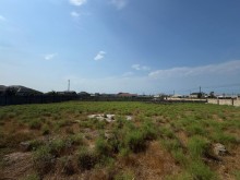 Sale Land shagan, -3