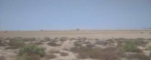 Satılır Torpaq Ələt SƏNAYE, NƏQLIYYAT TƏ'YINATLI, -6