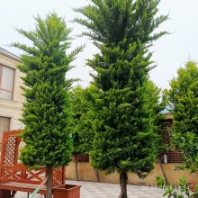 Buzovnada tam mərkəzdə 26 saylı məktəbin yanı Satılır Həyət evi, -3