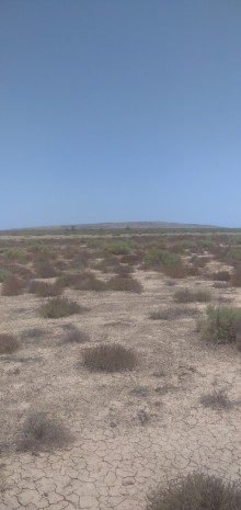 Satılır Torpaq ƏLƏT, -8