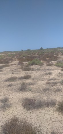 Satılır Torpaq ƏLƏT, -9