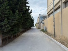 Satılır Torpaq bine, -9