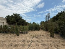 Satılır Torpaq buzovna, -3