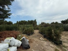 Satılır Torpaq buzovna, -4