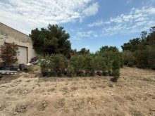 Satılır Torpaq buzovna, -8